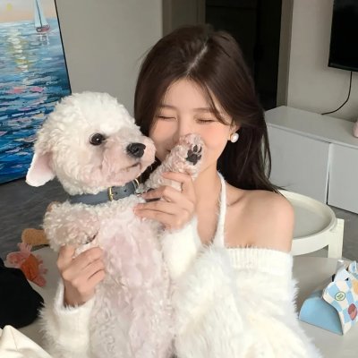 一起来看流星雨